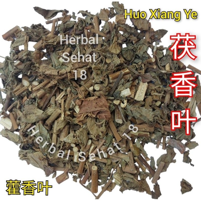 

600 gram Huo Xiang / Fu Xiang Ye - [ / ] - Herba Agastaches Rugosus PREMIUM