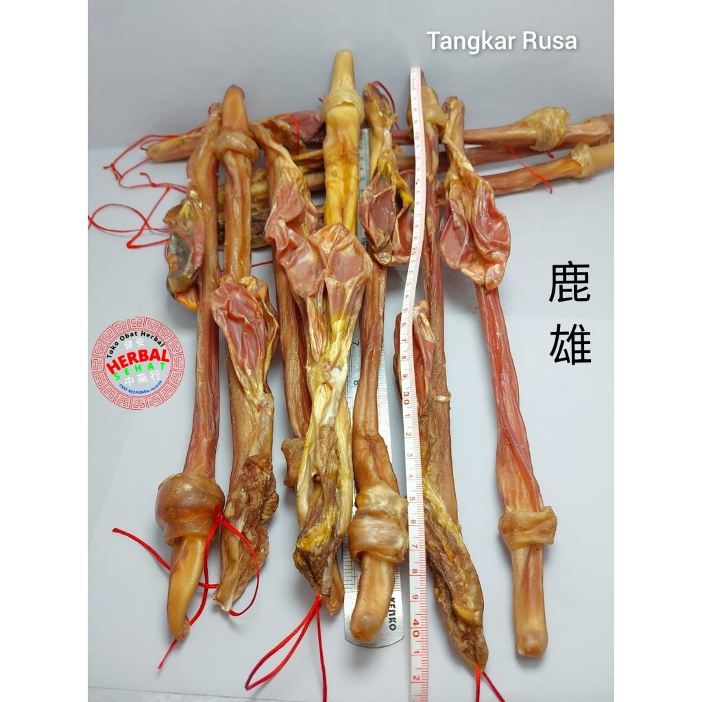 

Lu Bian / Tangkar Rusa Tiongkok / Tangkur / Tangkur Rusa Asli Zheng Lu Bian Lok Pian PREMIUM
