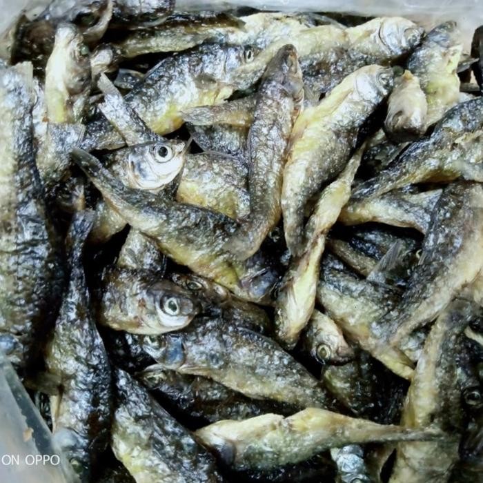 

Ikan Bilih Padang / Bilis Singkarak (250 Gram) Terlaris