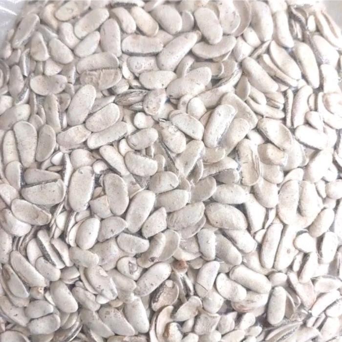 

TERMURAHH!! Biji Mahoni KUPAS 100 gram - Biji Buah Mahoni KUPAS