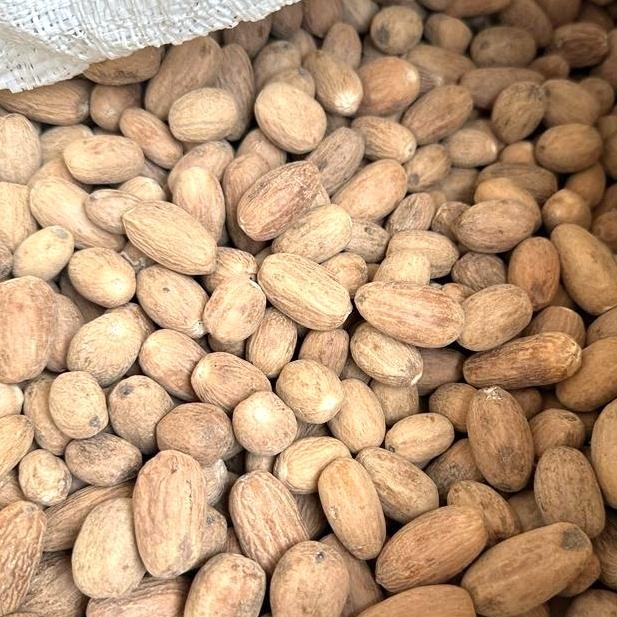 

TERMURAHH!! Biji Pala Lonjong Kupas 100gr / 250gr - Pala Kupas Lonjong