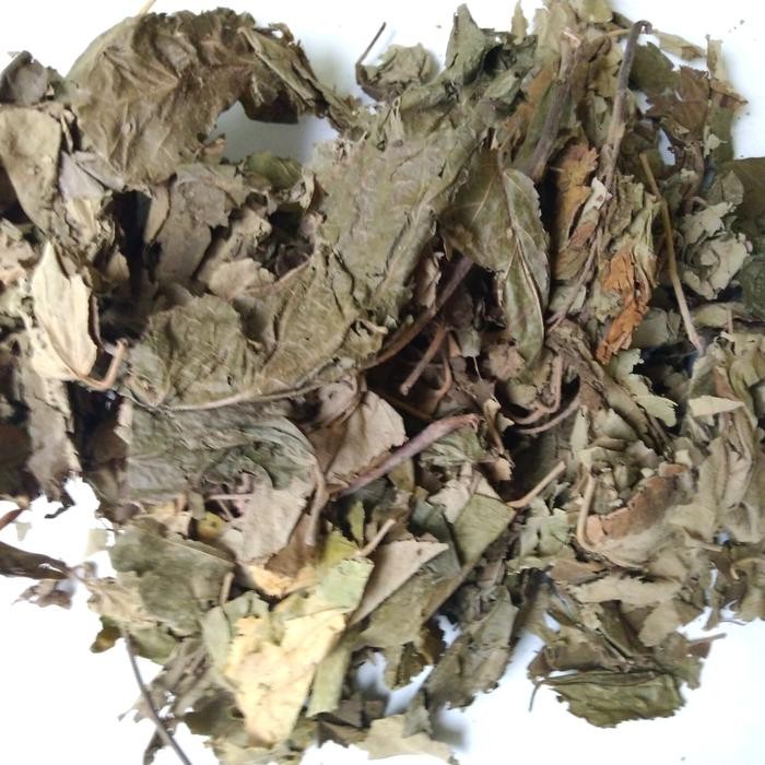 

TERMURAHH!! Daun Jati Belanda Kering 500gr