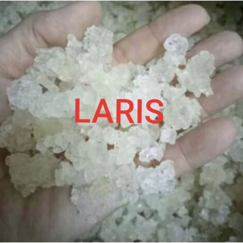 

snow bird nest xue yan premium 250gram