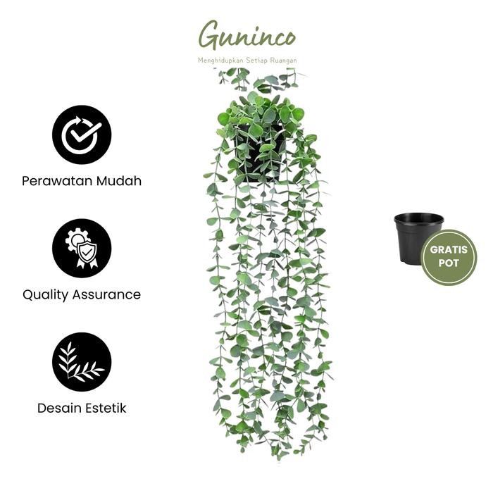 Tanaman Hias Juntai Eucalyptus Guninco - Tanaman Hias Plastik Aesthetic - Tanaman Gantung - Tanaman