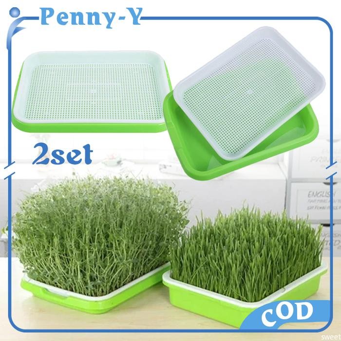 2set Microgreen Tray Double Layer Tray Semai Microgreen Wadah Semai Tanaman Tray Semai Hidroponik