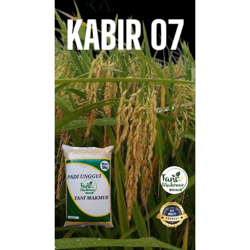 Happygardens Benih Padi Kabir 07 Kemasan 5Kg Original