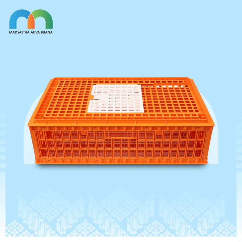 Medion Keranjang Ayam Besar (KRAB)