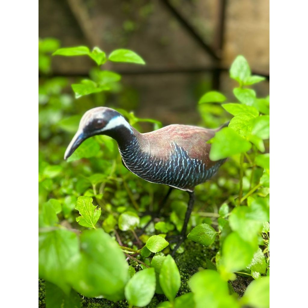 Patung Jontrot Burung Sintar Ladang