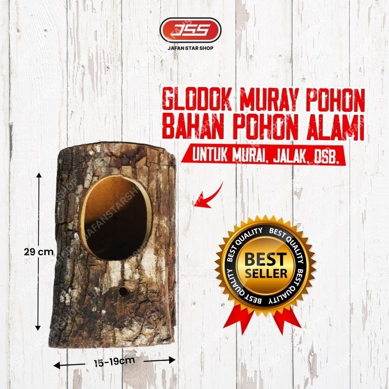 Glodok Murai Kandang Burung Murai II glodok kotak ll glodok pohon