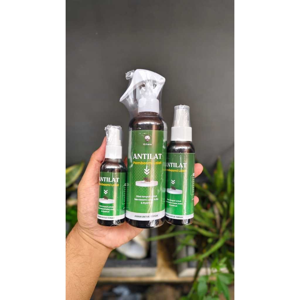 PROMO 3 BOTOL ANTILAT Obat Lalat untuk Sapi Kambing Pembasmi Lalat Kutu Nyamuk Hewan Ternak Obat