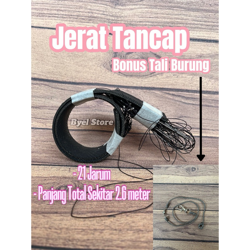 Jebakan Jerat racik model Tancap 21 mata tekukur perkutut merpati punai ruak ruak