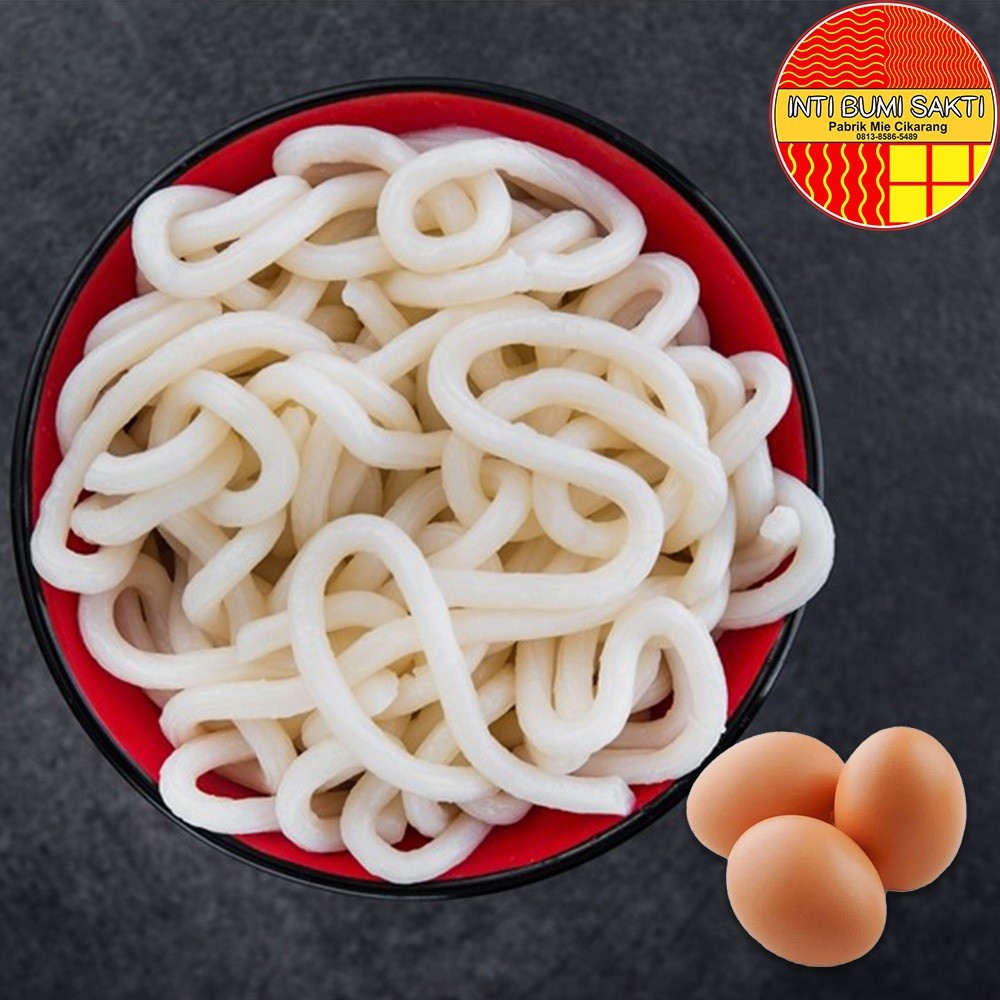 

Mie Mentah Lurus UDON Original Telur Ayam Super Premium Spesial Untuk Mie Ayam, Bakmie, Ramen Dan