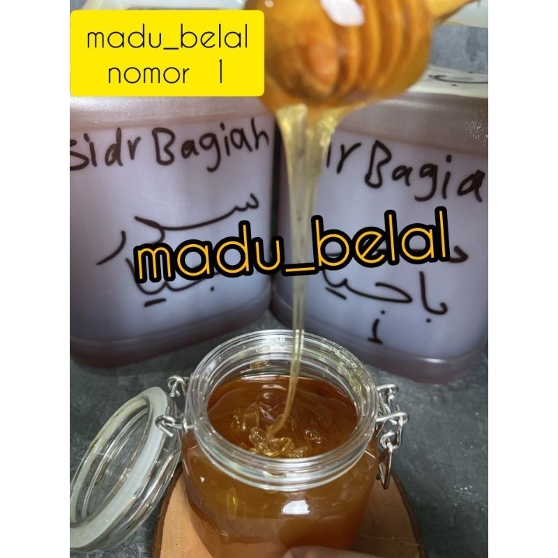 

madu sidr yaman bagiah bagih nomor 1 dari yaman asli hadramot