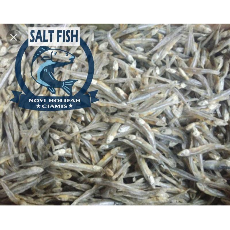 

Ikan Teri Asin Kering Berkualitas 1kg Harga Termurah