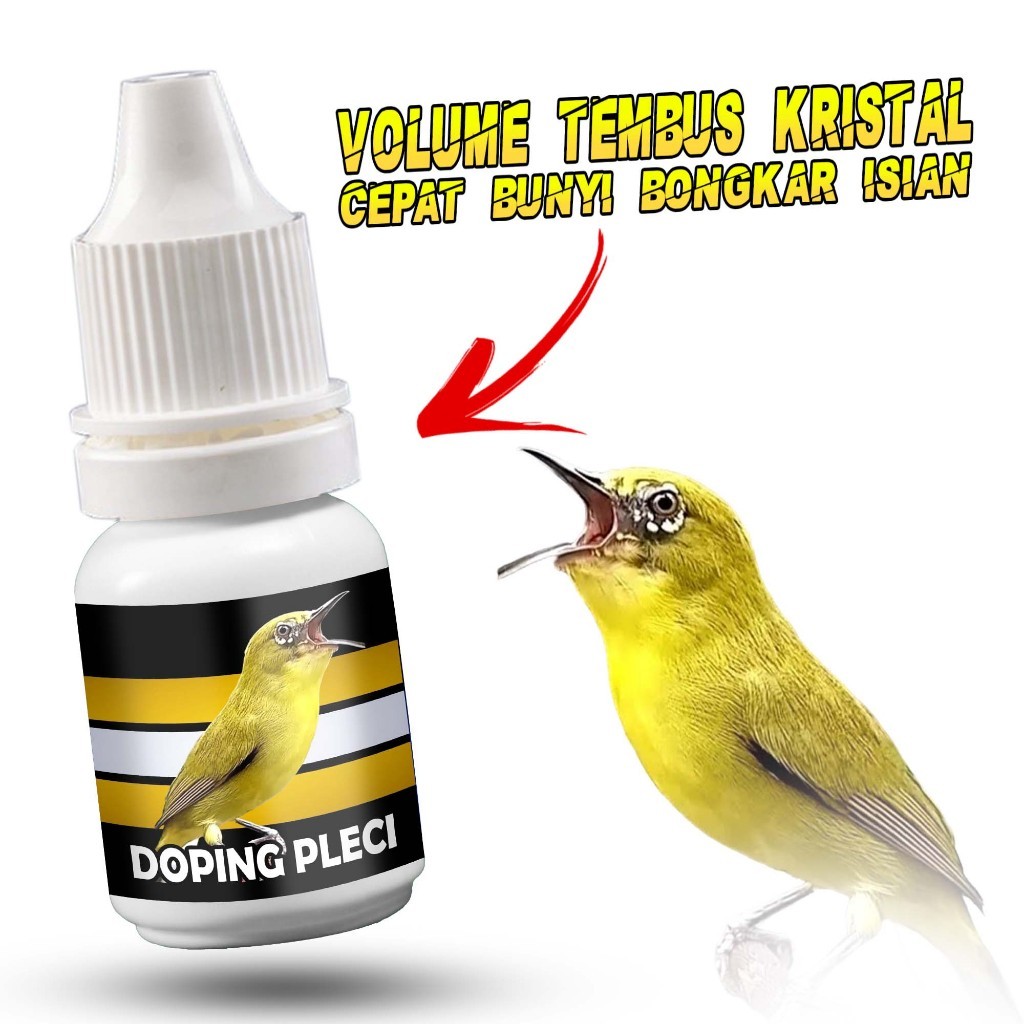 DOPING PLECI DOPING BURUNG PLECI DOSIS TINGGI