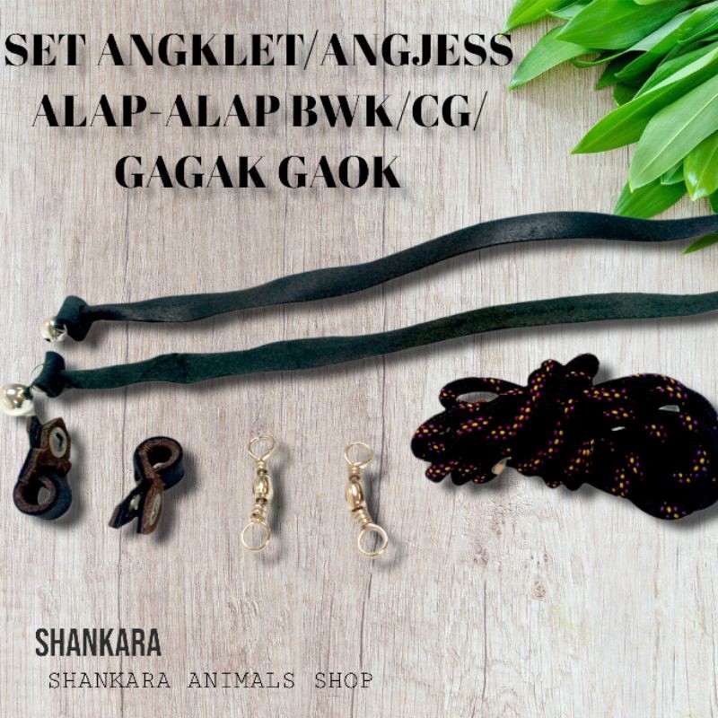 SET ANGKLET/ANGJESS ALAP-ALAP BWK/CG/GAGAK GAOK