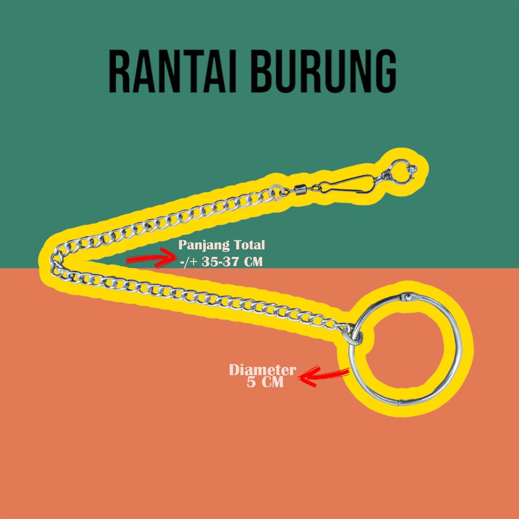 Rantai Nuri Rantai Goffin Rantai Nuri Paltem Rantai Sun Conure Rantai Nuri Dusky Rantai Nuri Lorry
