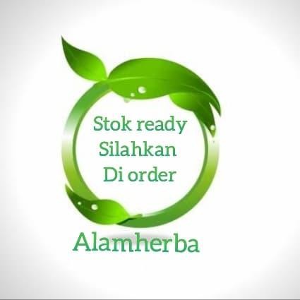 

Bibit tanaman Jeruk Limo Bibit Jeruk Limo