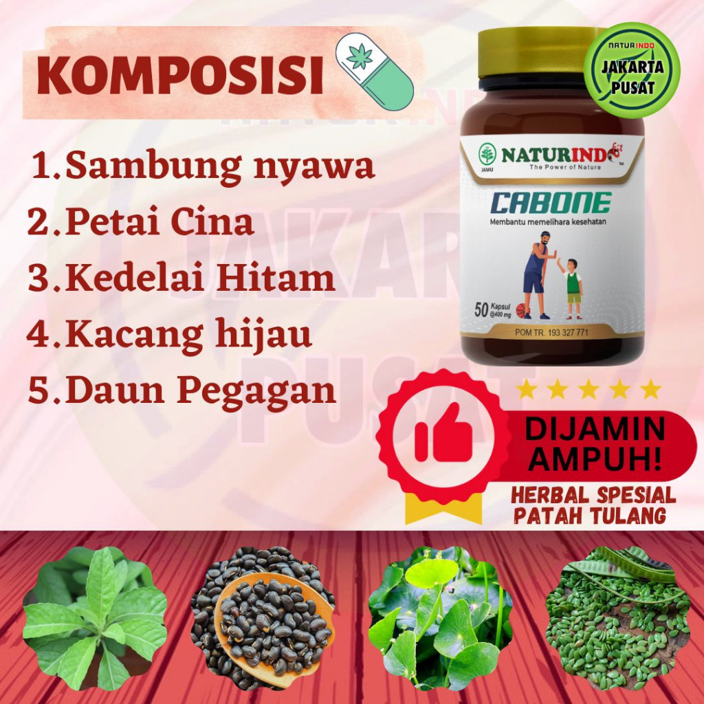Obat tulang dan sendi kaki tangan retak patah ekor bela badan ekor gusi bengkak cabone naturindo