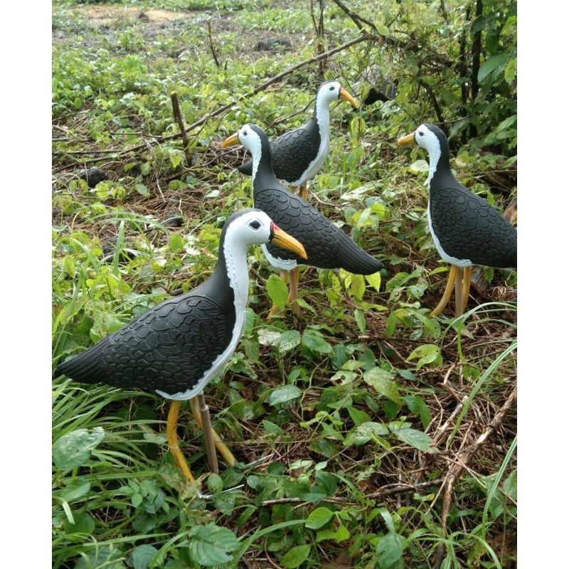 jontrot ruak ruak/pikat ruak ruak patung ruak ruak patung kareo