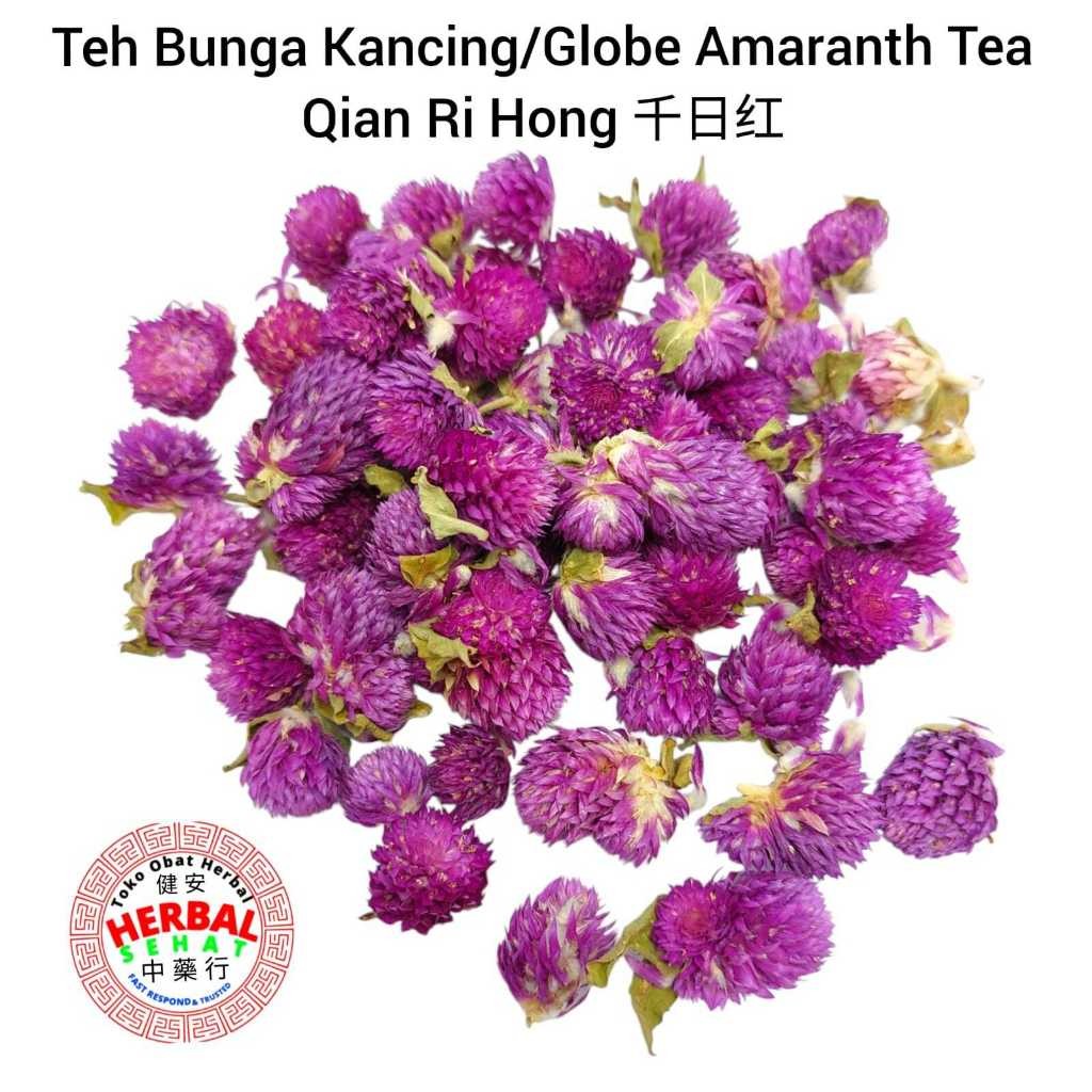 

Globe Amaranth / Teh Bunga Kancing / Qian Ri Hong [PREMIUM]
