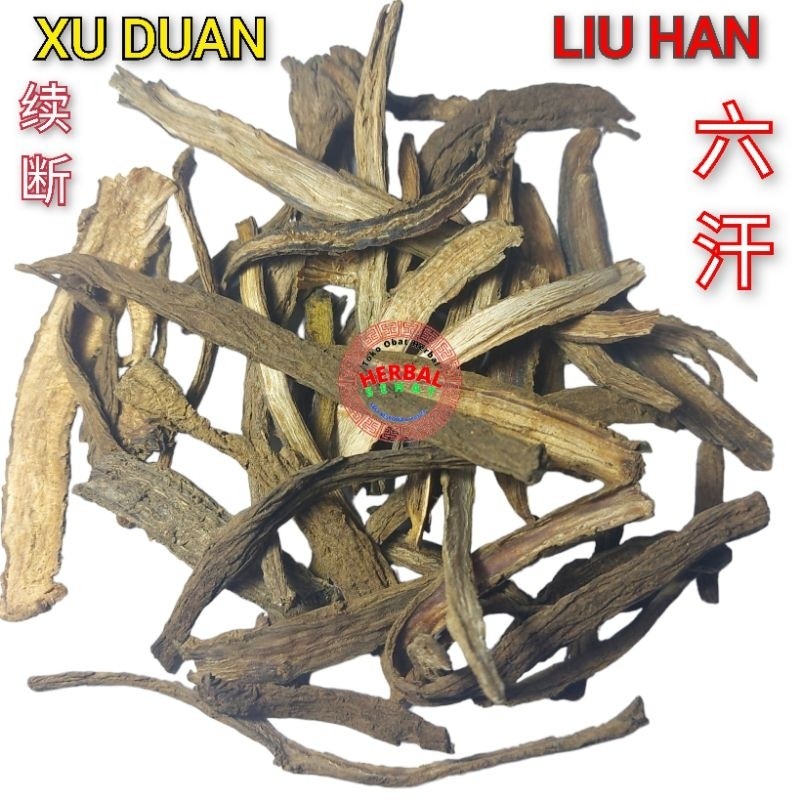 

1 Kilogram Xu Duan / Liu Han / Liuk Hon Radix Dipsaci [PREMIUM]