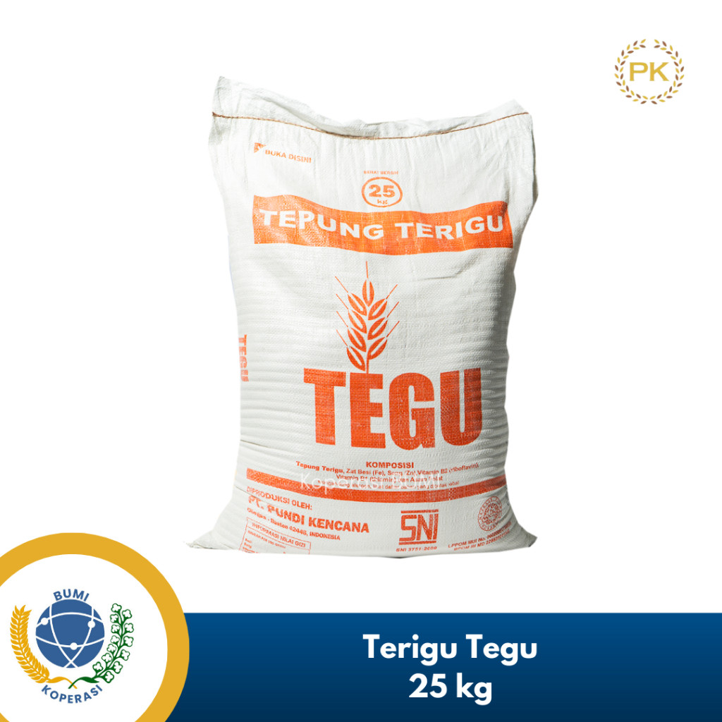 

SANS Tepung Terigu Tegu 25 Kg