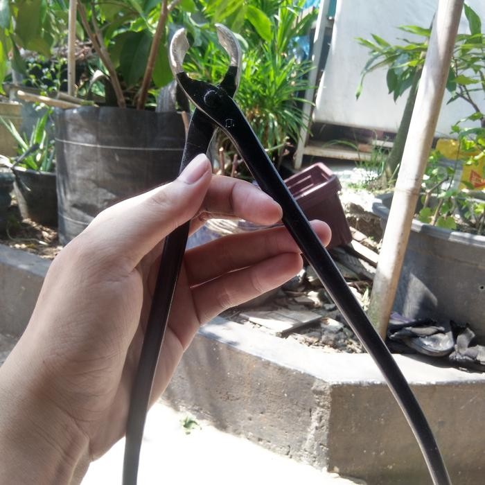 Catok Bonsai Cembung 25 Cm Catok Lokal