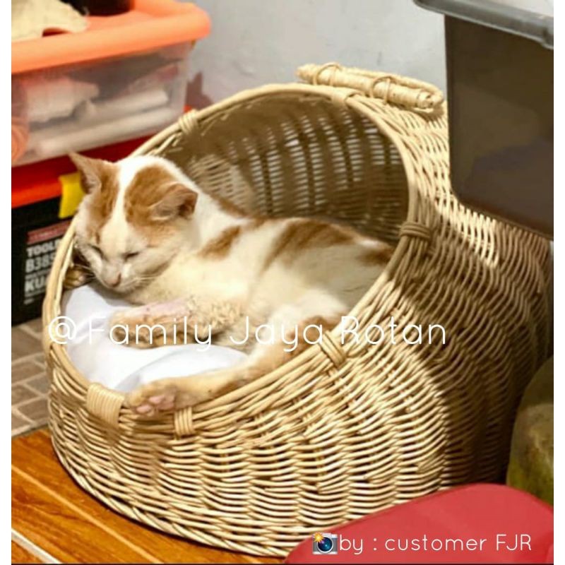 RB22 rumah kucing rotan helm/rumah anjing kelinci/rumah pets rotan