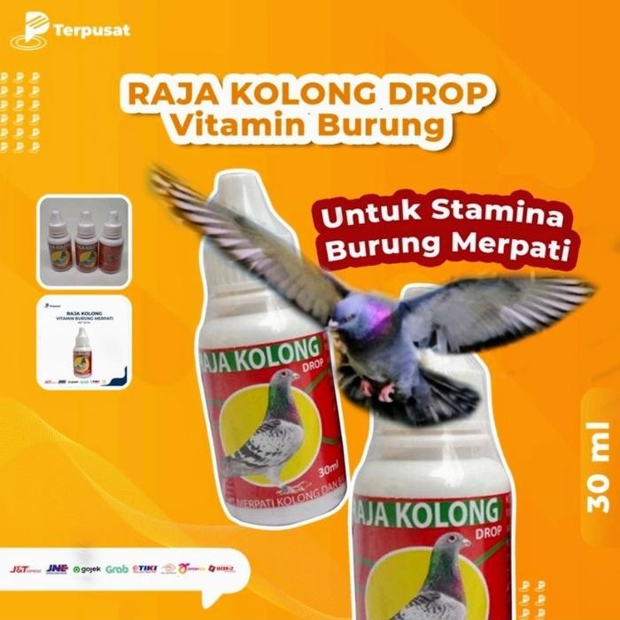 Langsung Di Co Raja Kolong Drop / Vitamin Stamina Burung Merpati Jantan Dan Betina