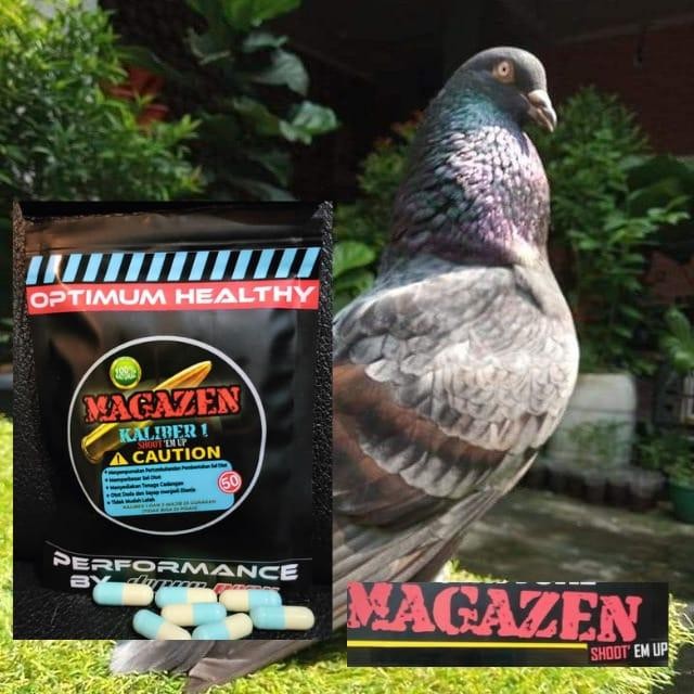 Original.. Magazen Kal 1/Jamu Suplemen Merpati Kolong