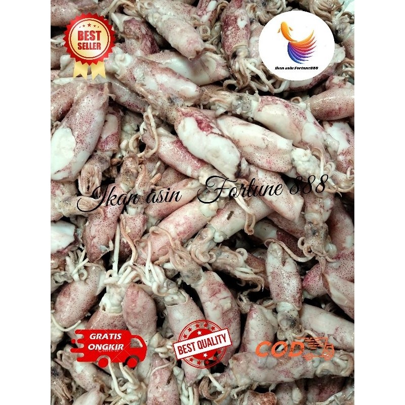 

Terlaris! Ikan asin Cumi Rebus ukuran Sedang 1gram, gram, 250gram