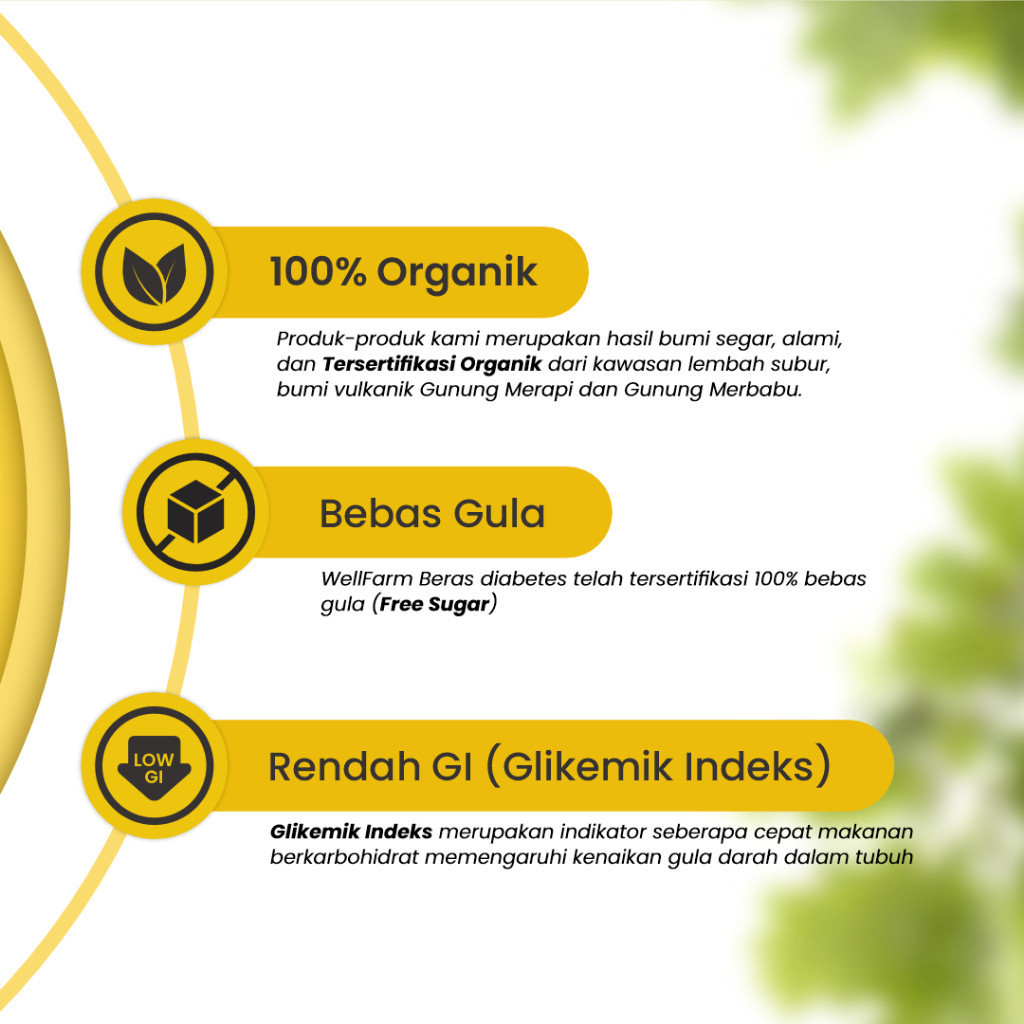 

Terlaris! Wellfarm Beras I Diabet Organik 1 Kg Low Sugar Free