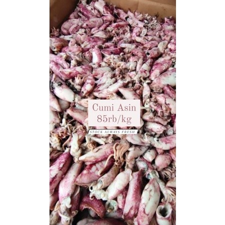 

Terlaris! CUMI ASIN 250GR / BOKS
