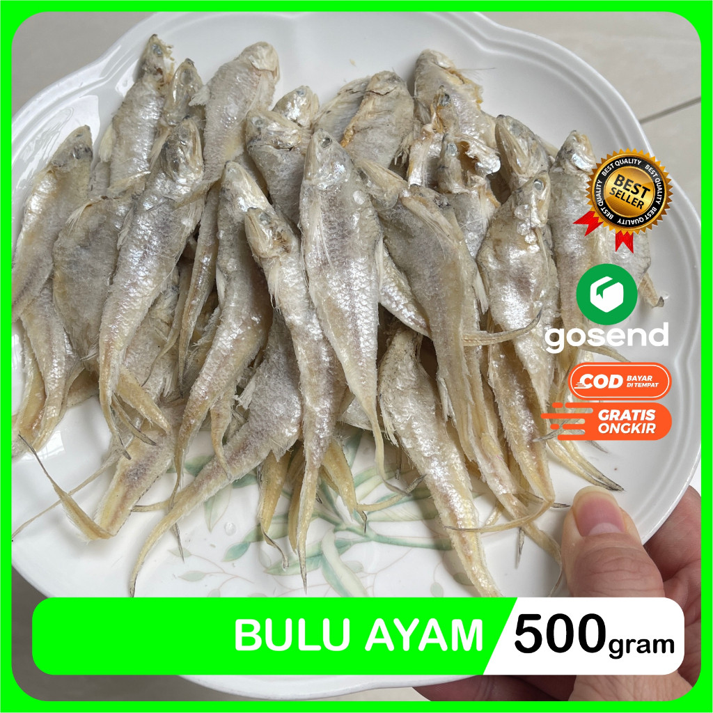

Terlaris! Ikan Asin Bulu Ayam Kering Super Packing Plastik Seal Vakum Gram