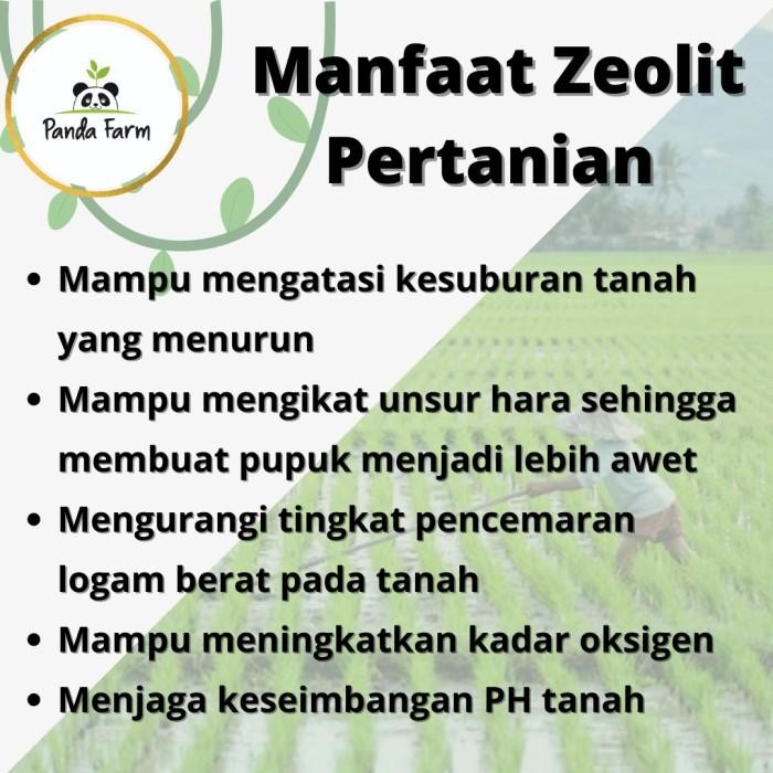 Hanya disini Batu Zeolit Khusus Pertanian 1 kg No.1