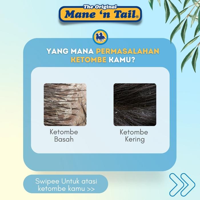 MANE 'N TAIL 2IN1 ANTI DANDRUFF SHAMPOO/SAMPO KUDA MANE 'N TAIL 355ML
