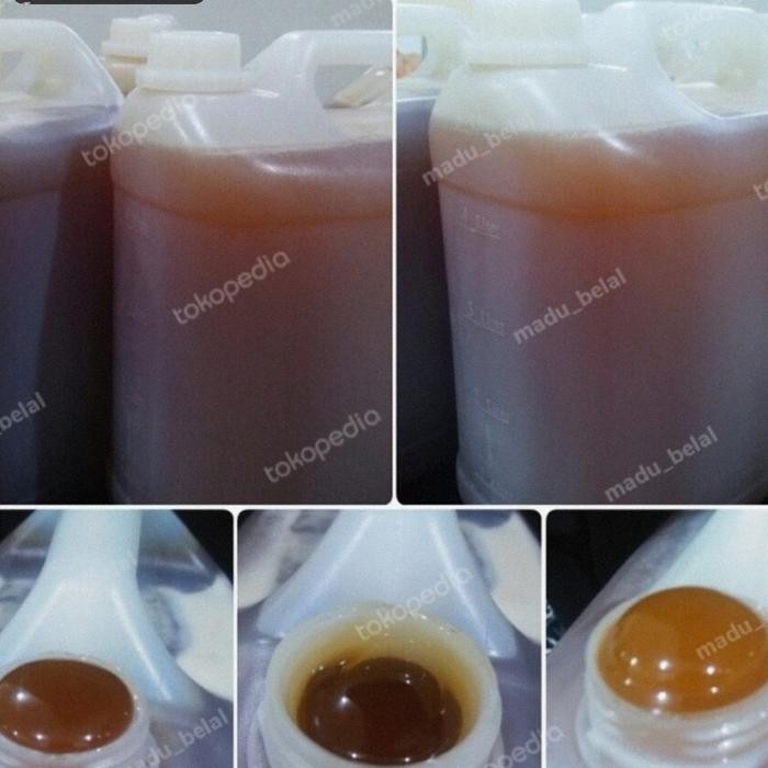 

Madu Marai Khalaya Asli Yaman ukuran 7kg