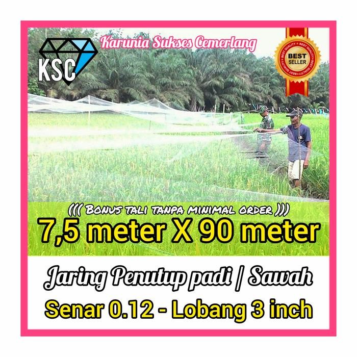 Jaring Padi / Jaring Emprit / Jaring Pipit / Jaring Penutup Sawah Padi -Flashsale