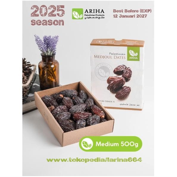 

New Kurma Medjoul Ariha Palestine Madjool Medjool Madjol Medjol