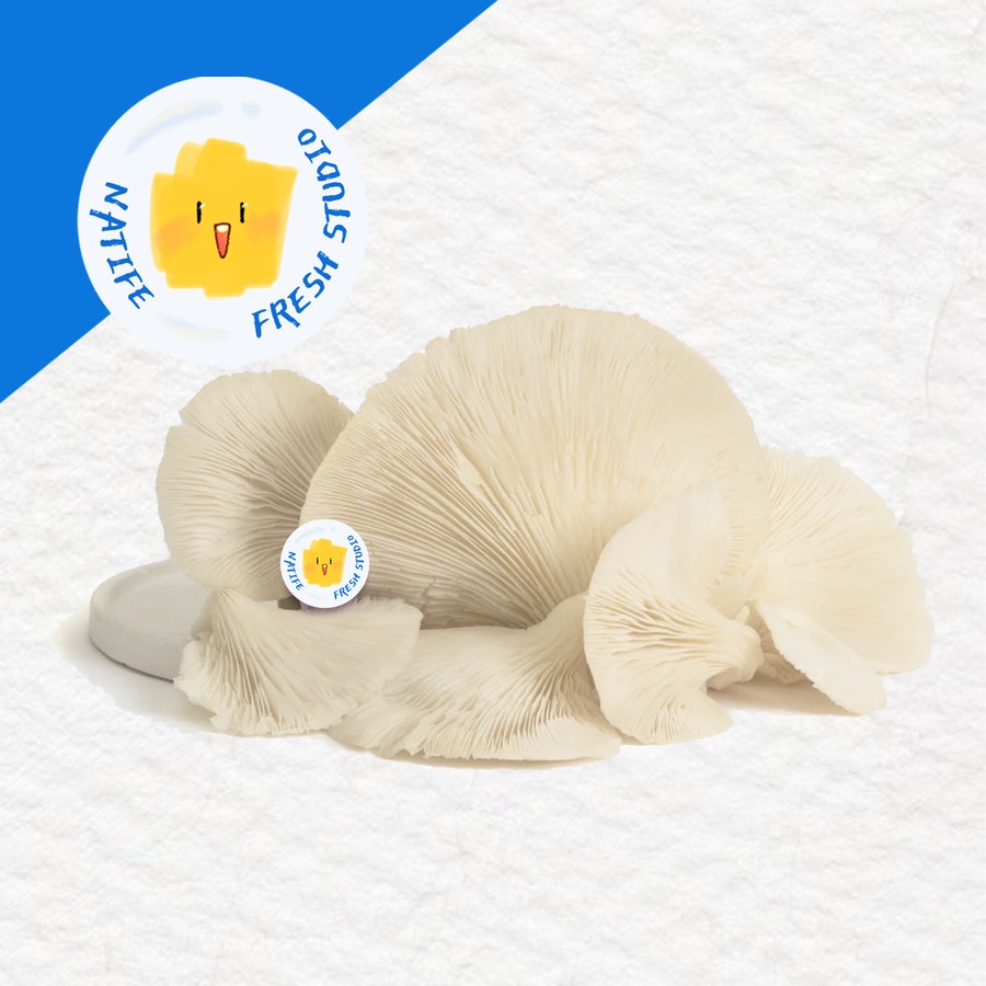 

JAMUR Tiram White Oyster Mushroom Per Pack | SEGAR FRESH