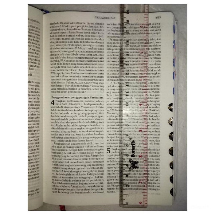 

Ready Alkitab Kristen Sedang Tb2 054 Stripline Terjemahan Baru 2 Lai Sampul Resleting