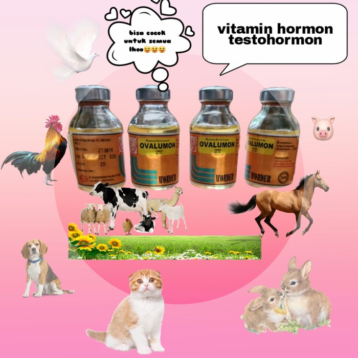 Product Laris Ovalumon 20Ml Obat Hormon Estradiol Vitamin Suntik Birahi Ayam Kucing