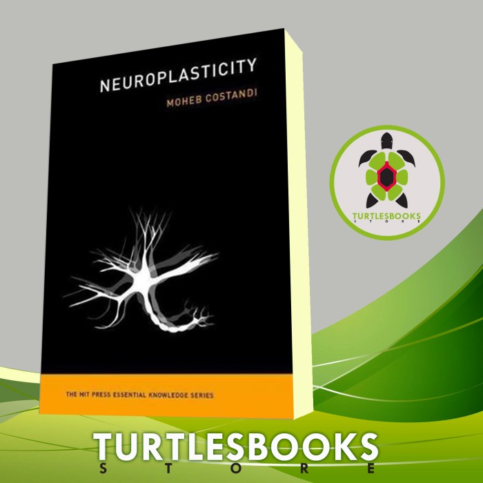 

Neuroplasticity Moheb Costandi