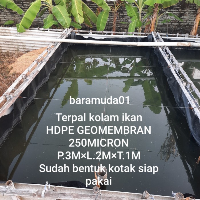 PREMIUM Terpal kolam ikan ukuran 321m HDPE Geomembran micron 250