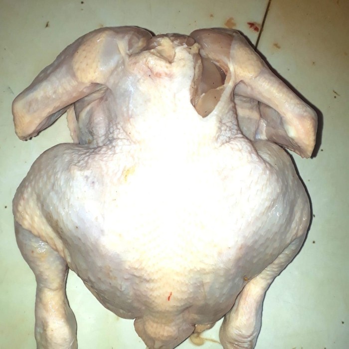 

NeW ayam karkas /chicken whole uk 1.4-1.5