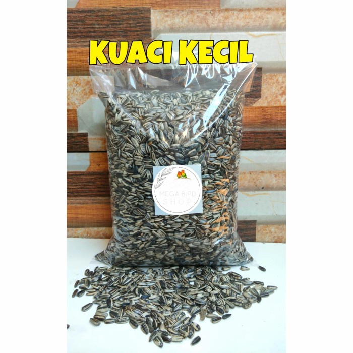 

NeW BIJI KUACI / KWACI BIJI BUNGA MATAHARI 1KG UNTUK BURUNG & HAMSTER