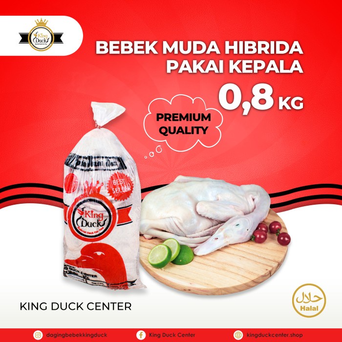 

DAGING BEBEK HIBRIDA 0,8 KG PAKAI KEPALA