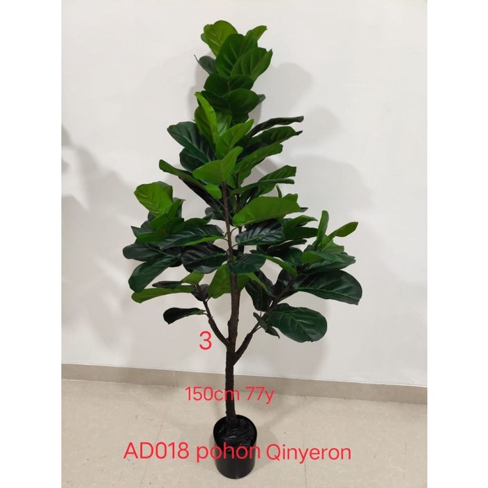 POHON KETAPANG BIOLA/KETAPANG ARTIFICIAL/BUNGA HIAS/TANAMAN HIAS/150CM