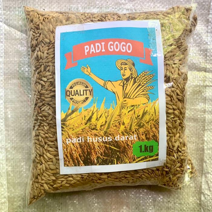 New Bibit Padi Gogo Beras Merah 1Kg Ready